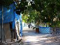 Rashdoo (40)